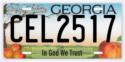 GA license plate CEL2517