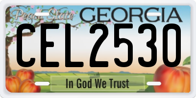 GA license plate CEL2530