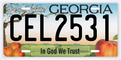 GA license plate CEL2531