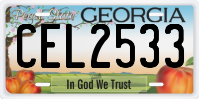 GA license plate CEL2533