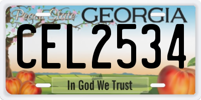 GA license plate CEL2534