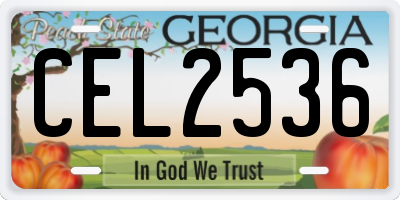 GA license plate CEL2536