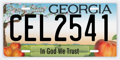 GA license plate CEL2541