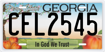 GA license plate CEL2545