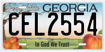 GA license plate CEL2554