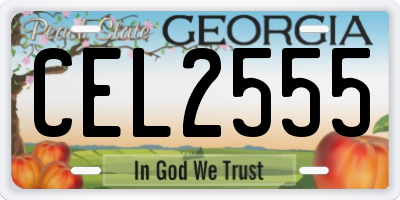 GA license plate CEL2555