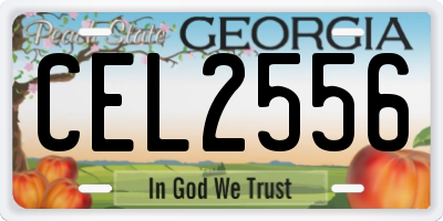 GA license plate CEL2556