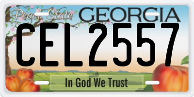 GA license plate CEL2557