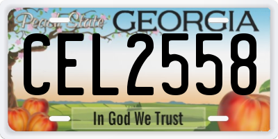 GA license plate CEL2558