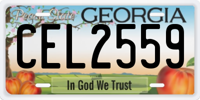 GA license plate CEL2559