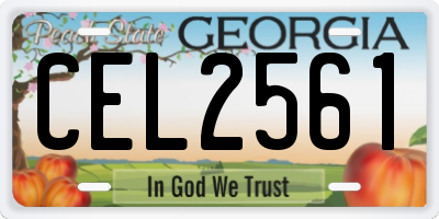 GA license plate CEL2561
