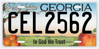 GA license plate CEL2562