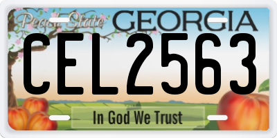GA license plate CEL2563
