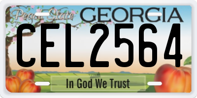 GA license plate CEL2564