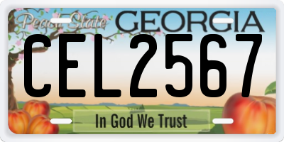 GA license plate CEL2567