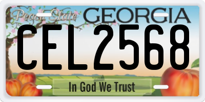 GA license plate CEL2568