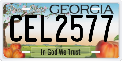 GA license plate CEL2577