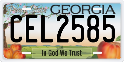 GA license plate CEL2585