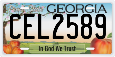 GA license plate CEL2589