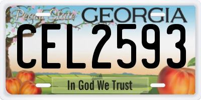 GA license plate CEL2593