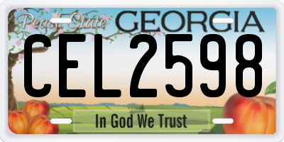 GA license plate CEL2598