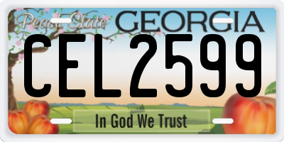 GA license plate CEL2599