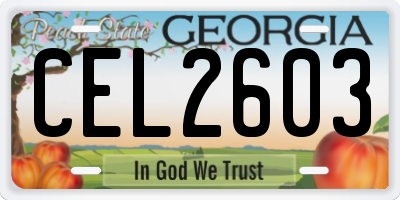 GA license plate CEL2603
