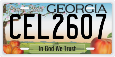 GA license plate CEL2607