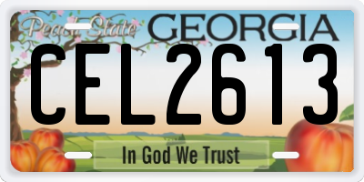 GA license plate CEL2613