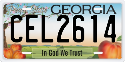 GA license plate CEL2614