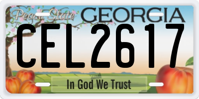 GA license plate CEL2617