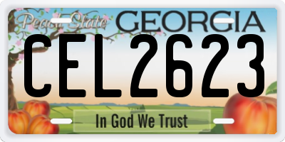 GA license plate CEL2623