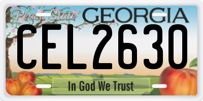 GA license plate CEL2630