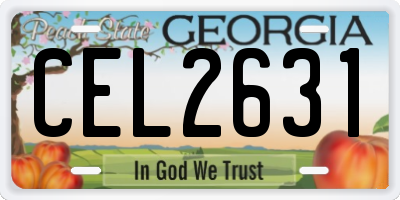 GA license plate CEL2631