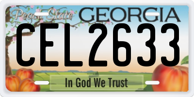 GA license plate CEL2633