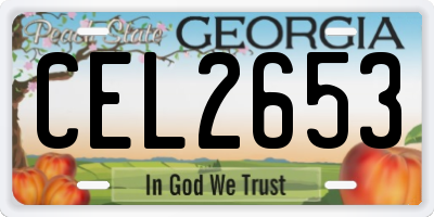 GA license plate CEL2653