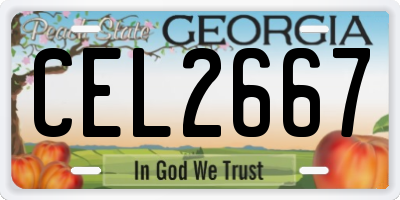 GA license plate CEL2667