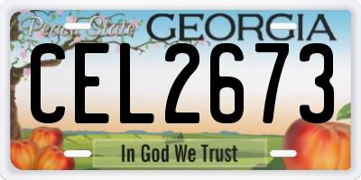 GA license plate CEL2673