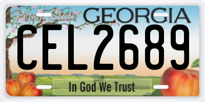 GA license plate CEL2689