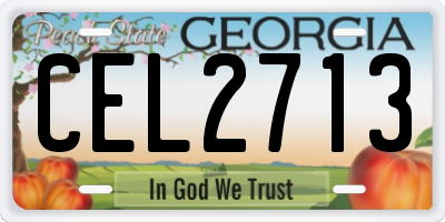 GA license plate CEL2713