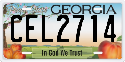 GA license plate CEL2714