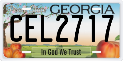 GA license plate CEL2717