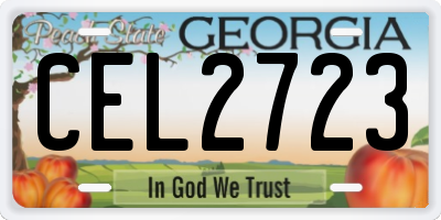 GA license plate CEL2723