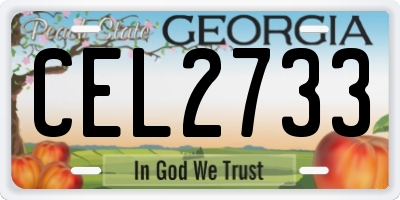 GA license plate CEL2733