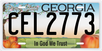 GA license plate CEL2773