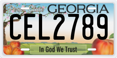 GA license plate CEL2789