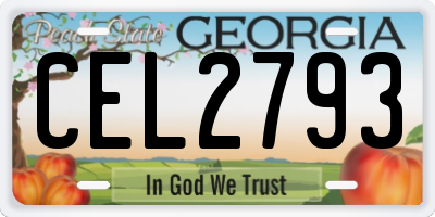 GA license plate CEL2793