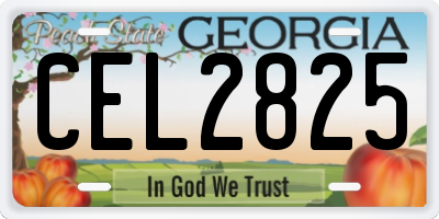 GA license plate CEL2825