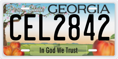 GA license plate CEL2842