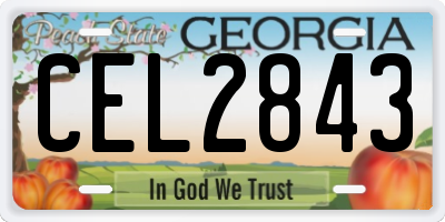 GA license plate CEL2843